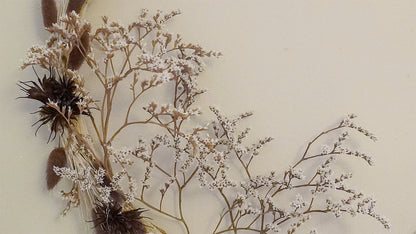 Couronne arbres et nigelle