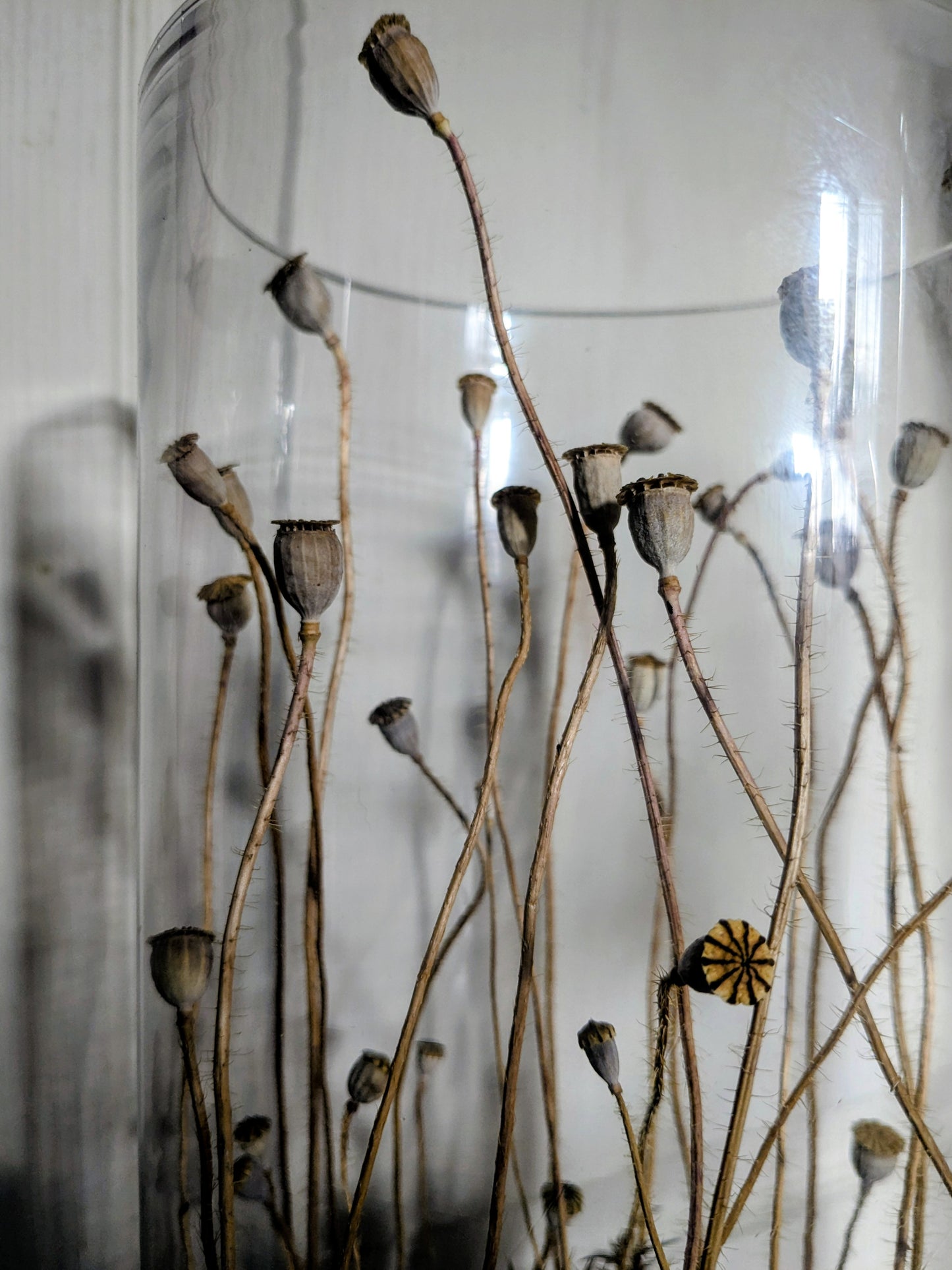 Cylindre coquelicot