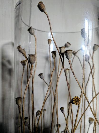 Cylindre coquelicot