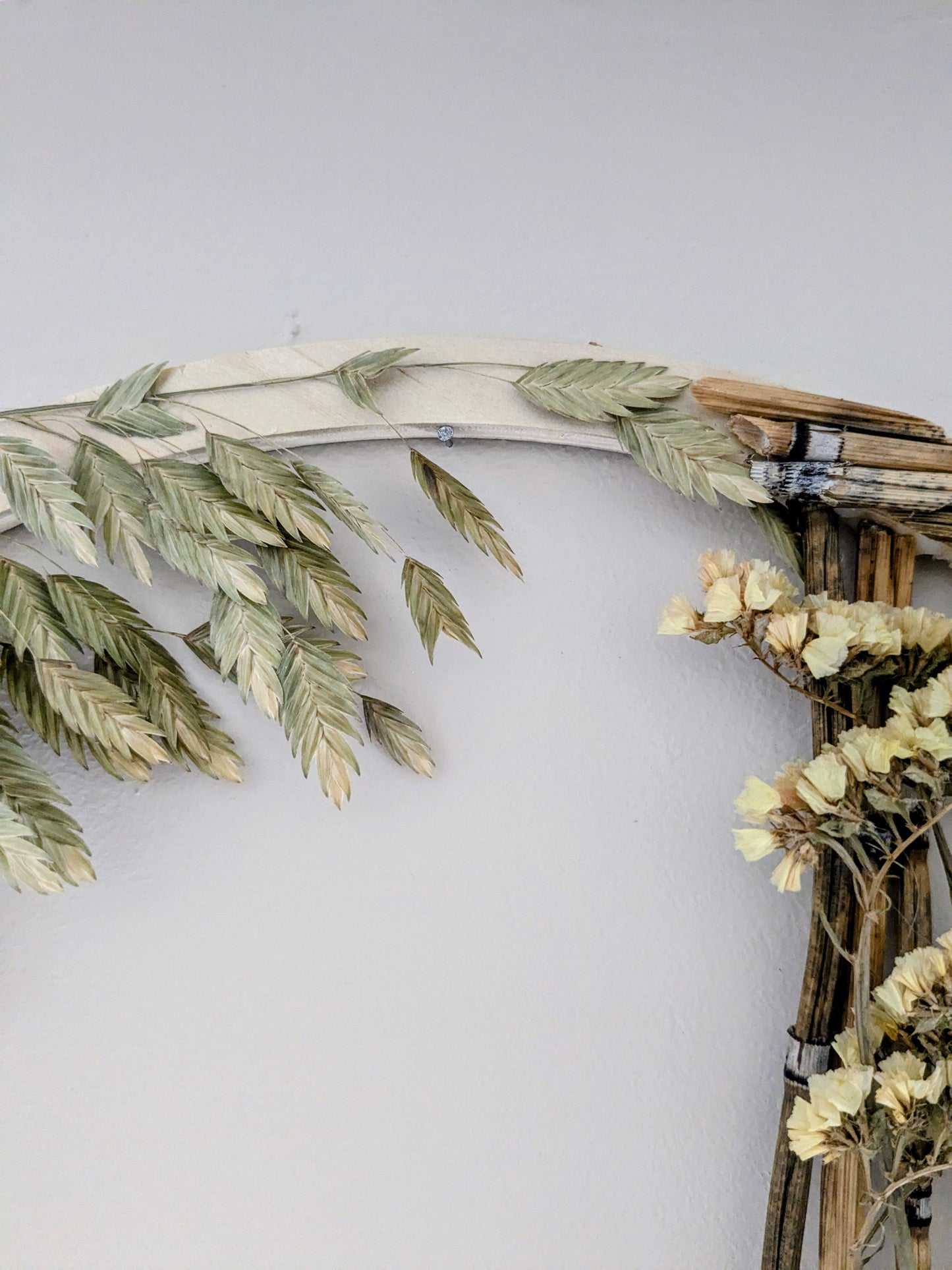 Couronne japonica